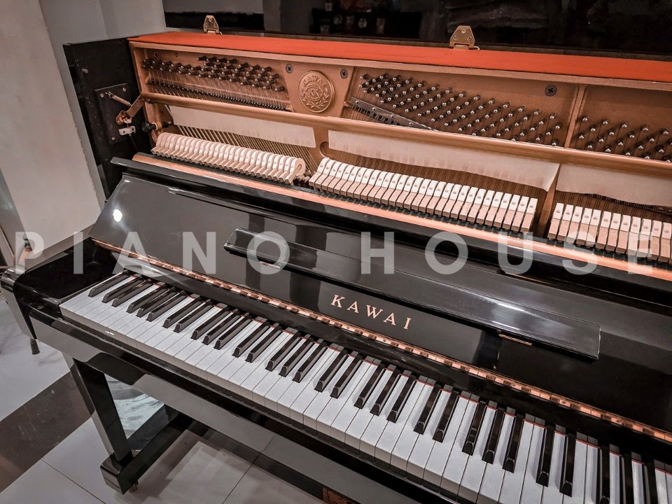 KAWAI DS-55 (Limited Edition) - Ảnh thực tế 3